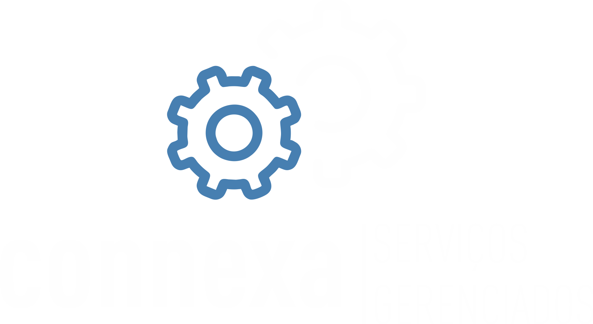 Logo Connexa Security